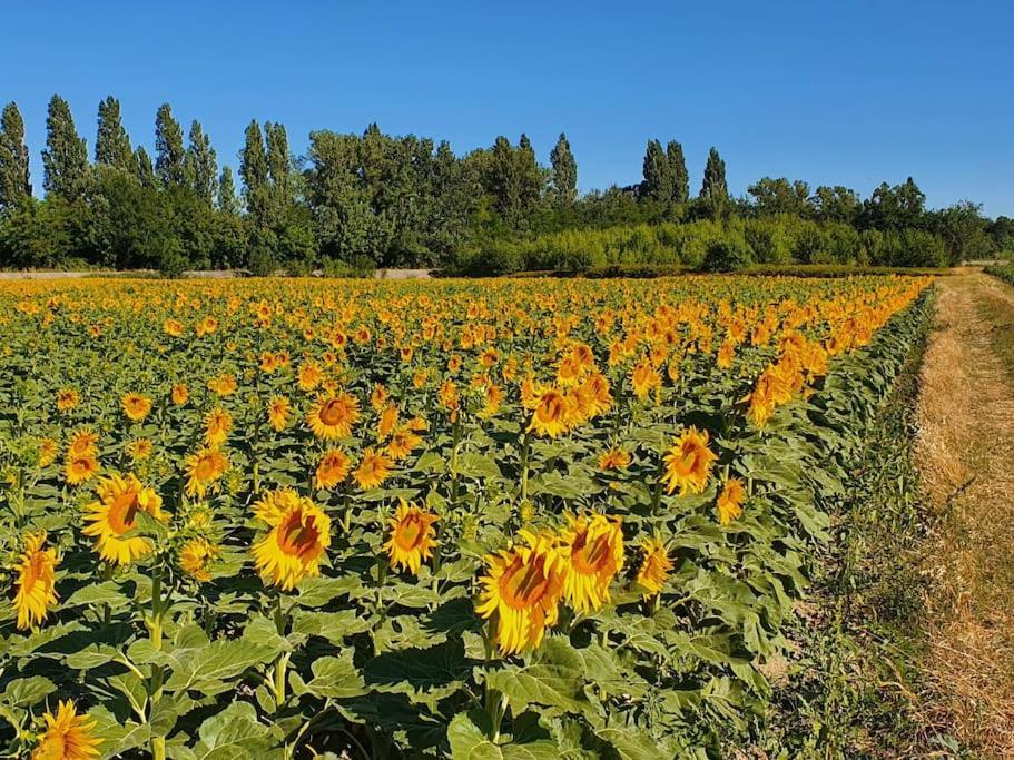 הוילה פונט-סנט-אספריט L'Ardeche En Provence Avec Jardin Ombrage מראה חיצוני תמונה