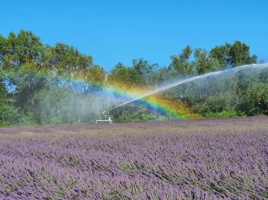 הוילה פונט-סנט-אספריט L'Ardeche En Provence Avec Jardin Ombrage מראה חיצוני תמונה